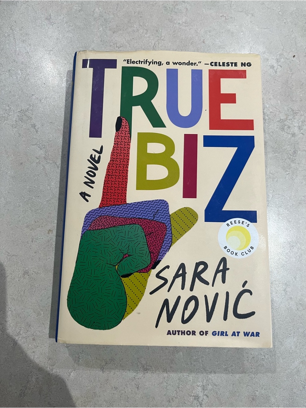 📚 3/$20 📚 True Biz by Sara Novic Hardcover Fiction